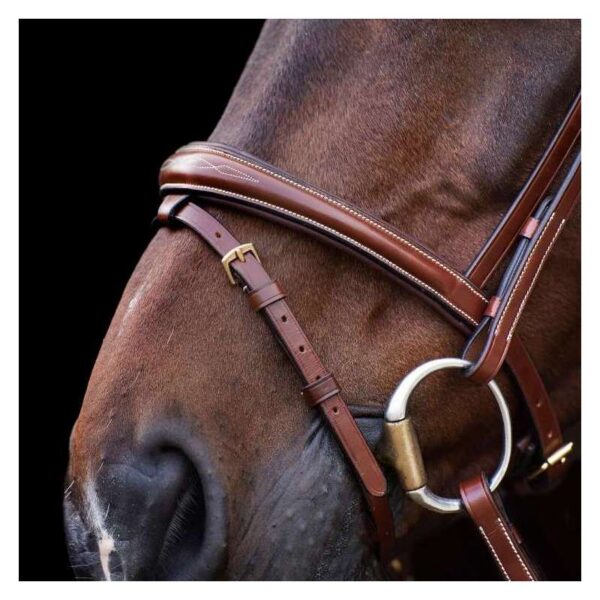 Bridon HV Polo Legacy Brun avec rênes - Cob - 1201093500