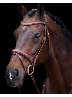 Bridon HV Polo Legacy Brun avec rênes - Cob - 1201093500