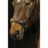 Bridon Norton Pro Hackamore Havane - Cob - 301899218
