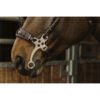 Bridon Norton Pro Hackamore Havane - Cob - 301899218