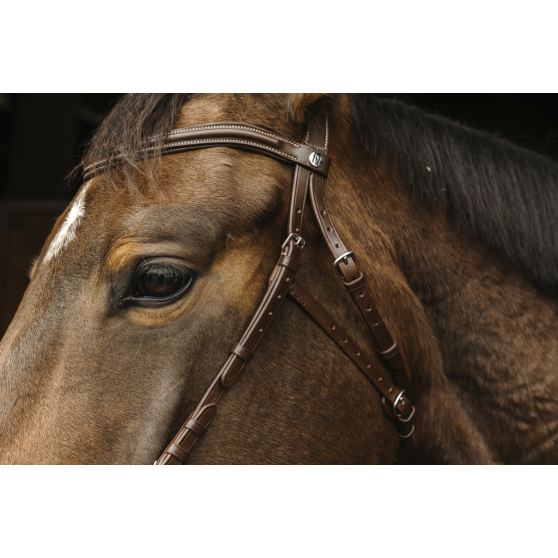 Bridon Norton Pro Hackamore Havane - Cob - 301899218