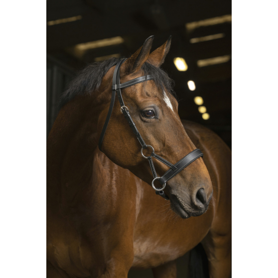 Bridon Side-pull Norton Pro Confort Noir - Cob - 301889202