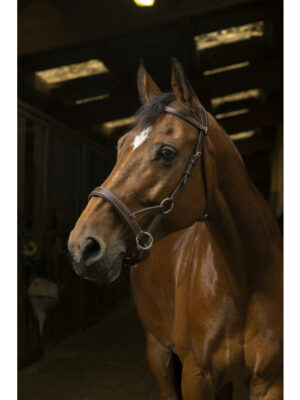 Bridon Side-pull Norton Pro Confort Noir - Cob - 301889202