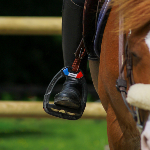 Etriers Safe On Flex On