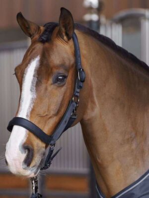 Licol HVPEssential - 1601093650