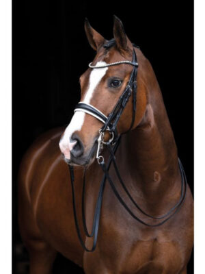 Bride Dina HKM Noir avec rênes - Cheval - 11475