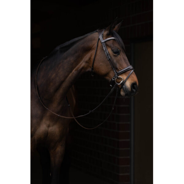 Bridon Brun Arezzo Lauria Garrelli avec rênes -Cheval-15391