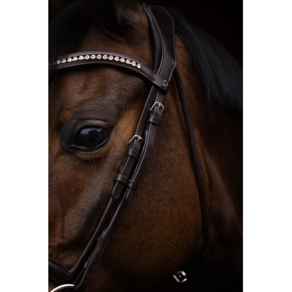 Bridon Brun Arezzo Lauria Garrelli avec rênes -Cheval-15391